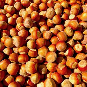 فندق براق