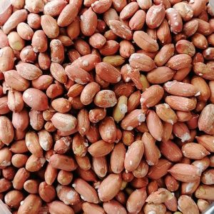 بادام زمینی درجه یک آستانه